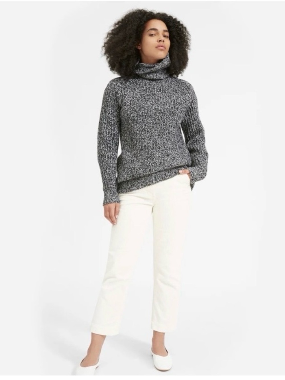 Everlane The Italian Soft Wool Rib Turtleneck